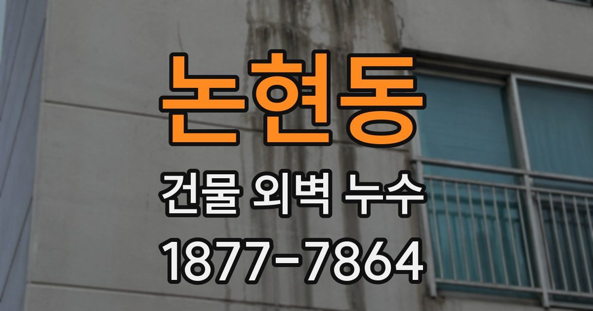 논현동 건물 외벽 누수