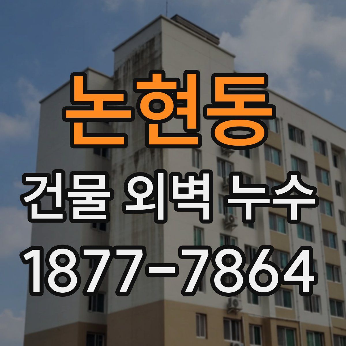 논현동 건물 외벽 누수