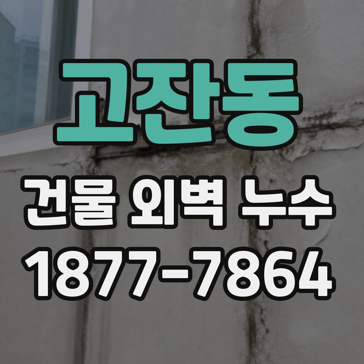 고잔동 건물 외벽 누수