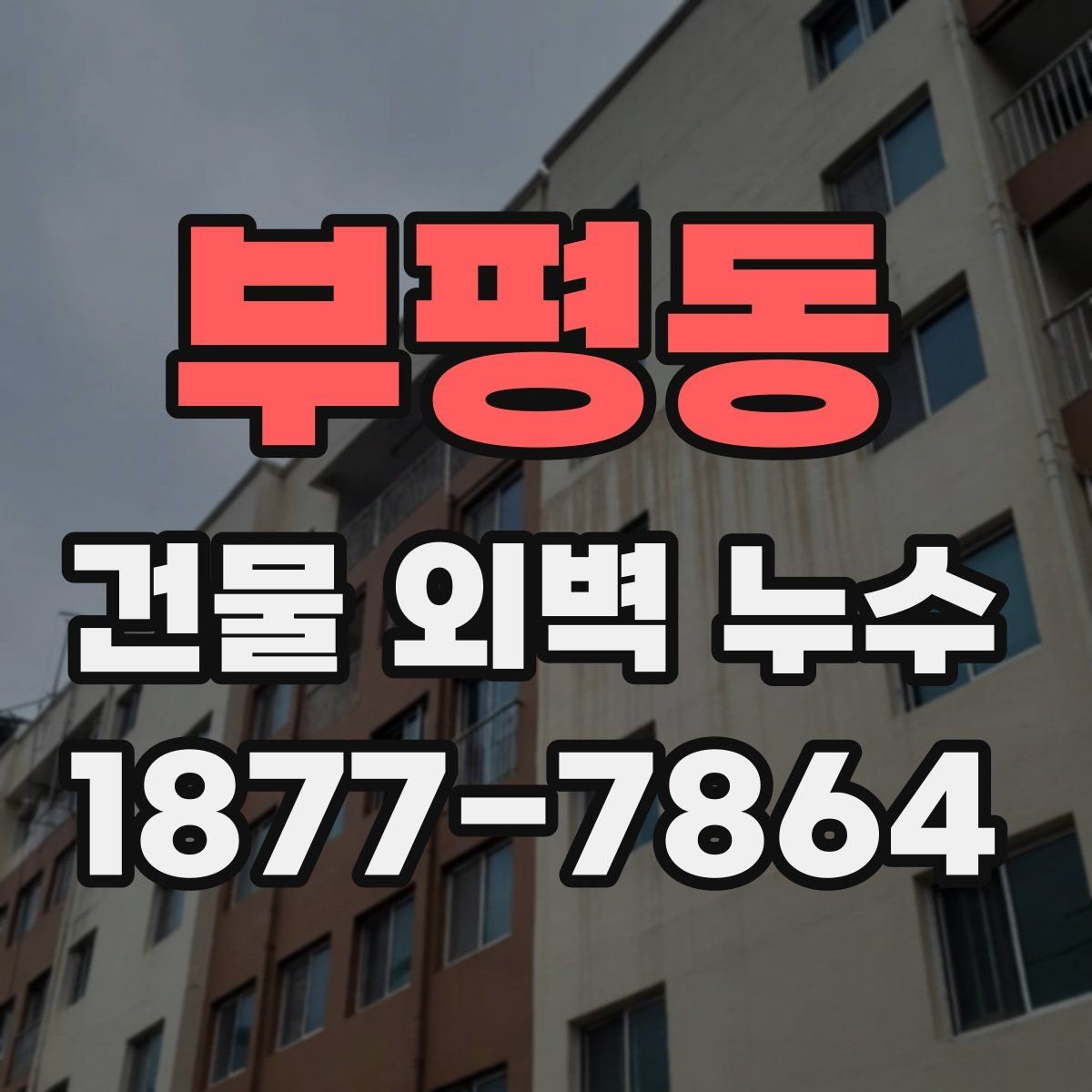 부평동 건물 외벽 누수 공사 방식 선택 기준