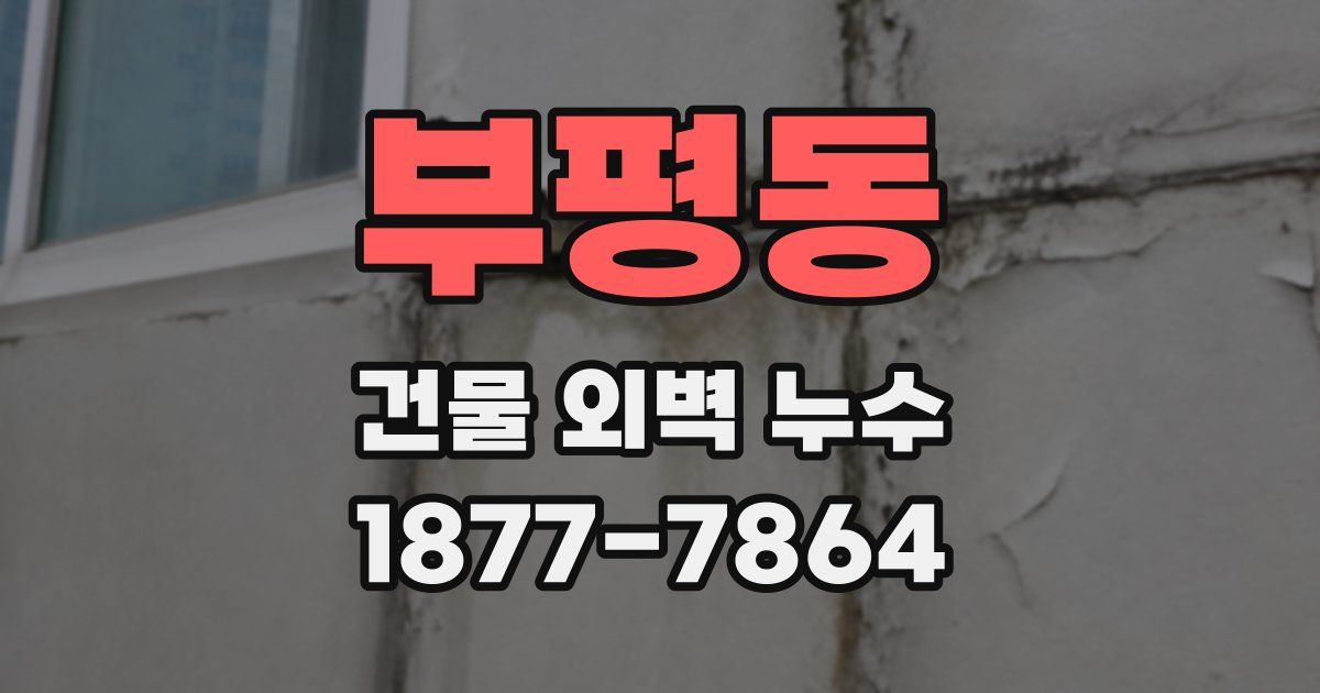 부평동 건물 외벽 누수