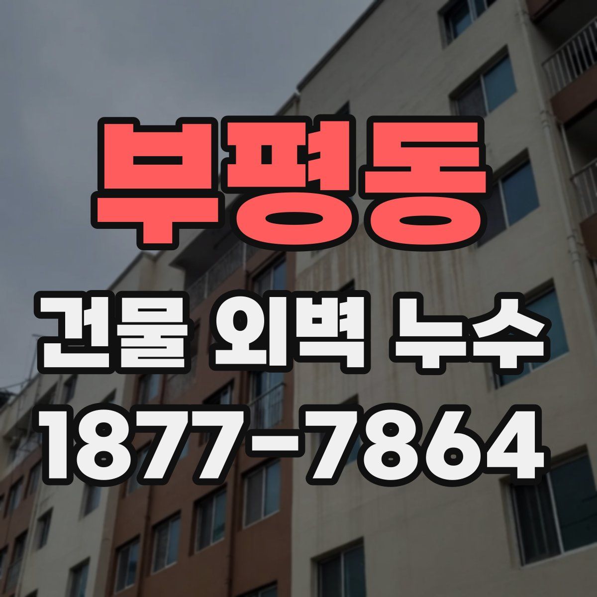 부평동 건물 외벽 누수
