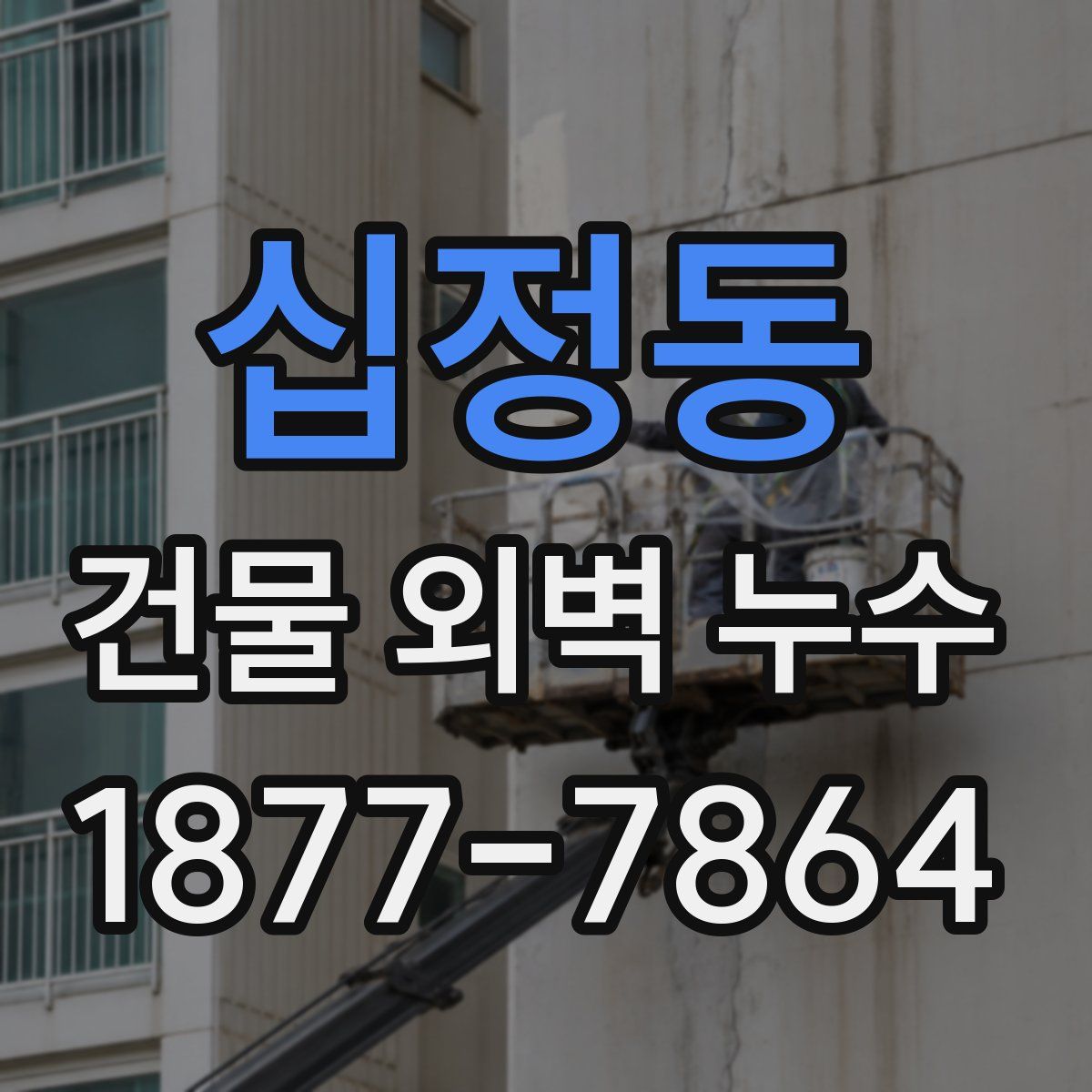 십정동 건물 외벽 누수