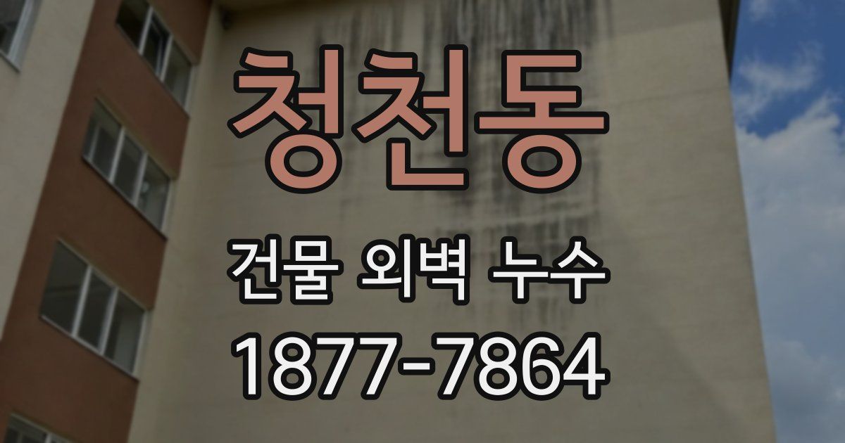 청천동 건물 외벽 누수