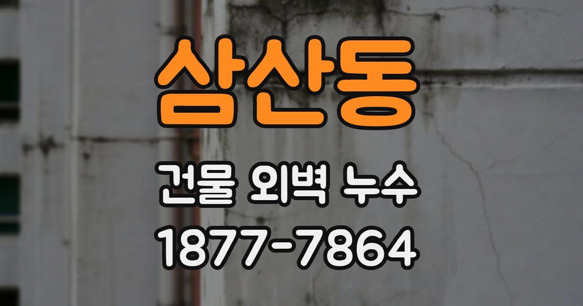 삼산동 건물 외벽 누수