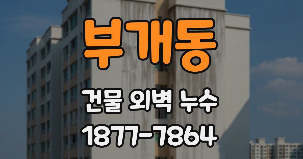 부개동 건물 외벽 누수