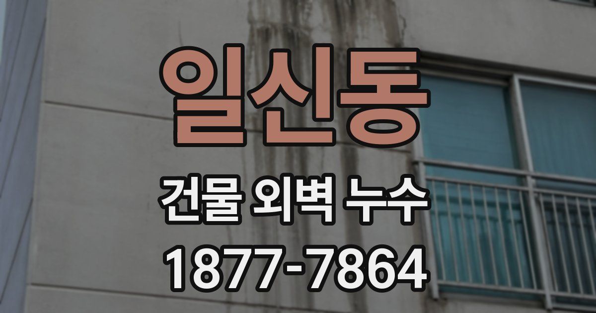 일신동 건물 외벽 누수