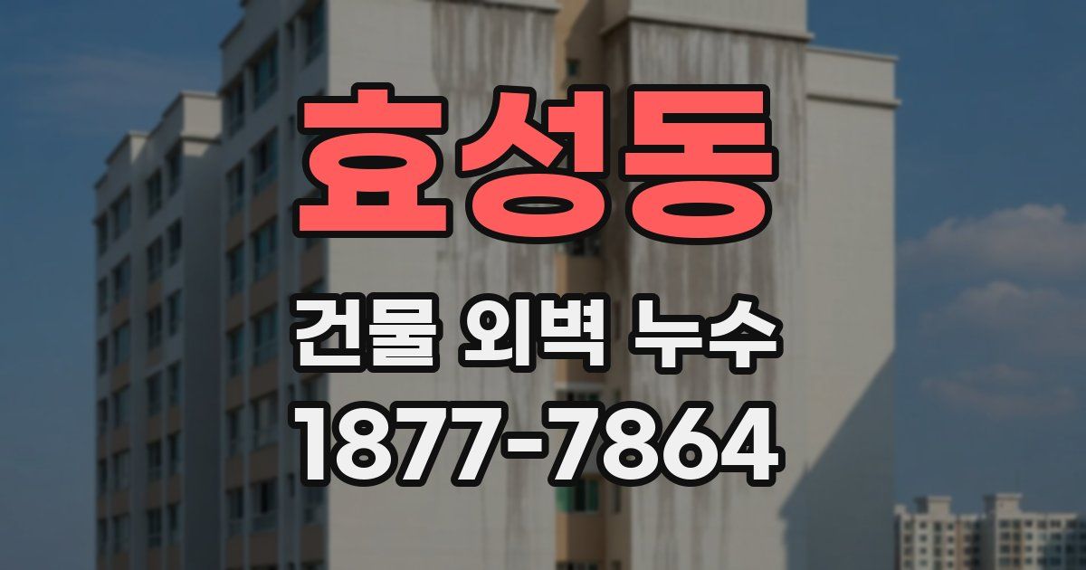 효성동 건물 외벽 누수