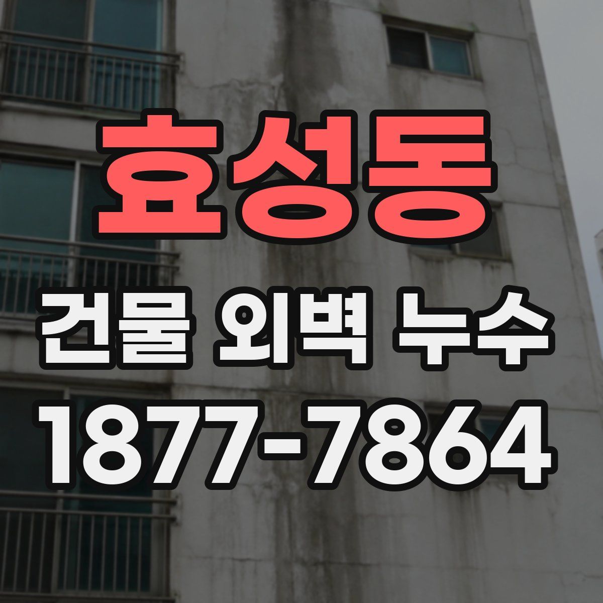 효성동 건물 외벽 누수