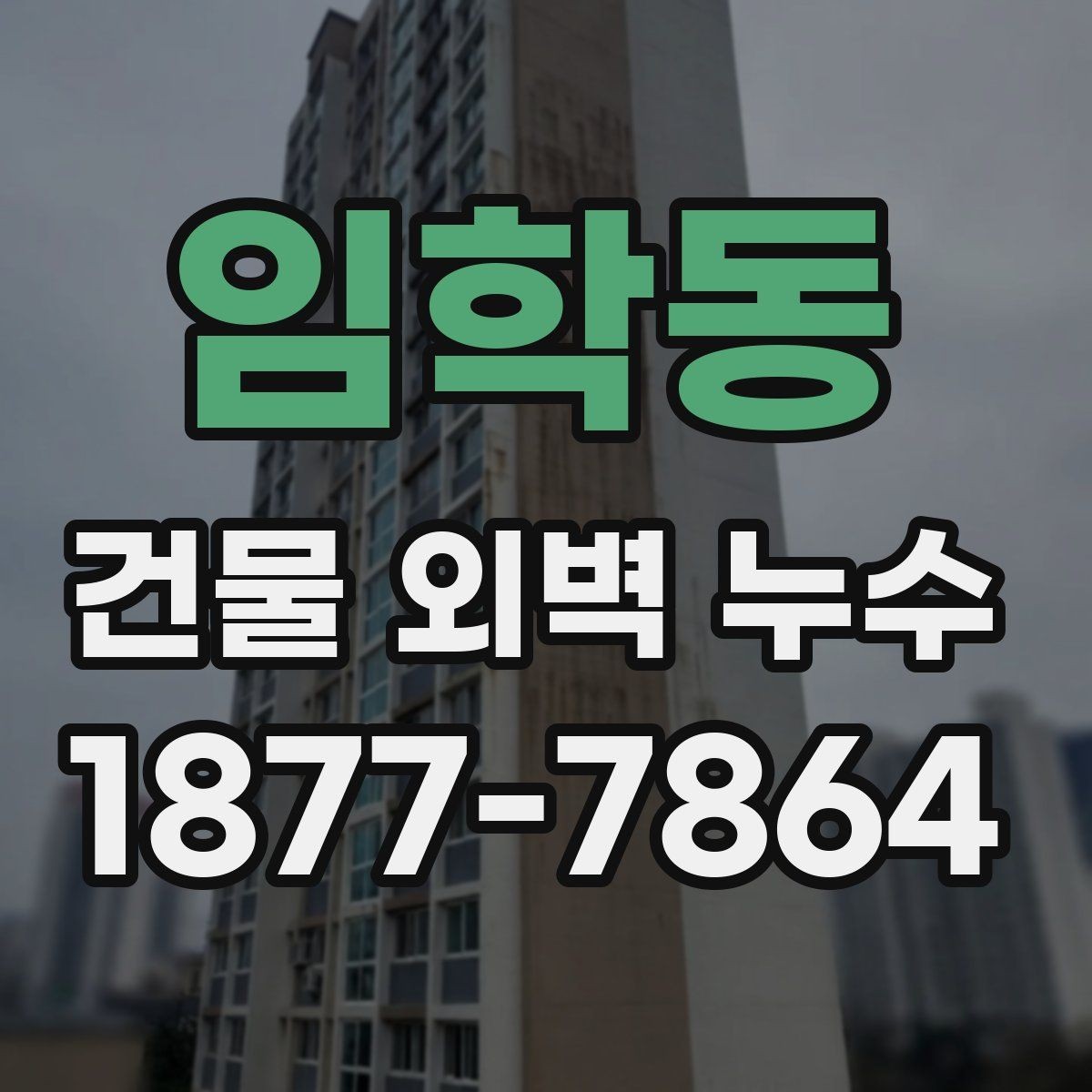 임학동 건물 외벽 누수 원인별 증상과 점검법