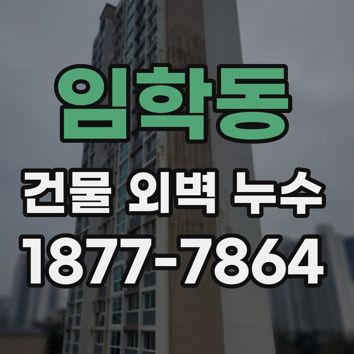 임학동 건물 외벽 누수