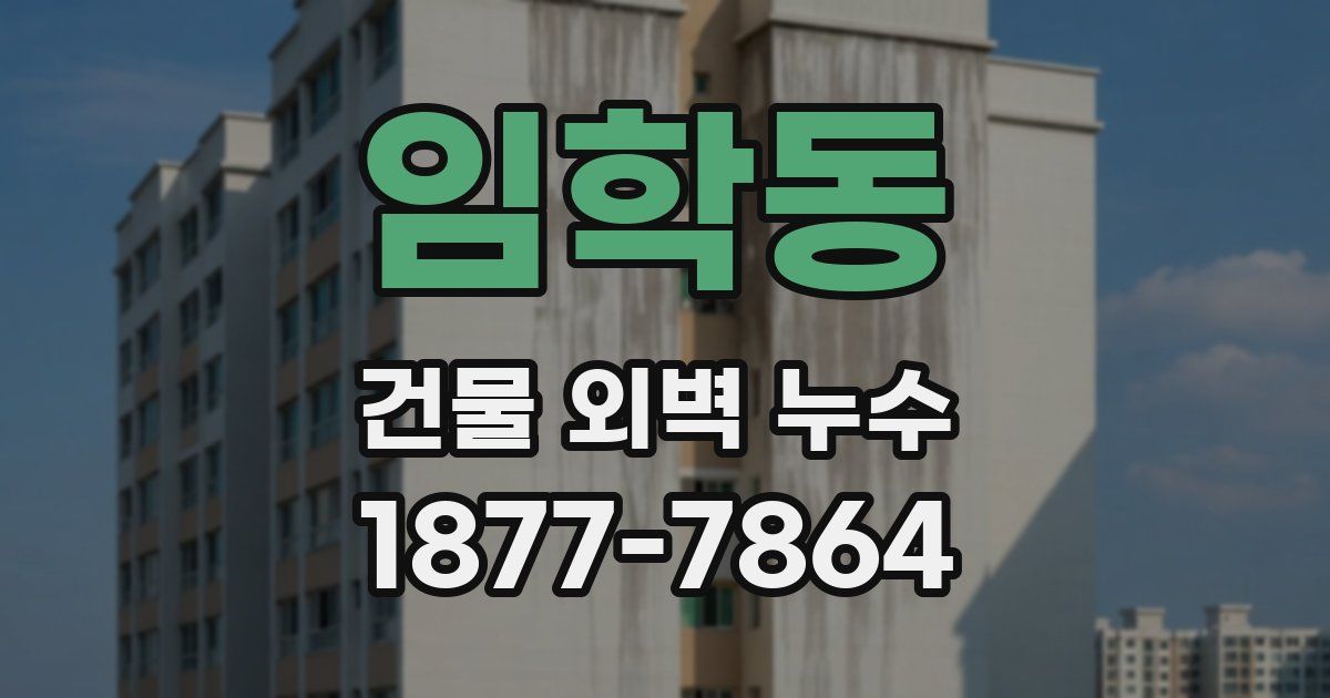 임학동 건물 외벽 누수
