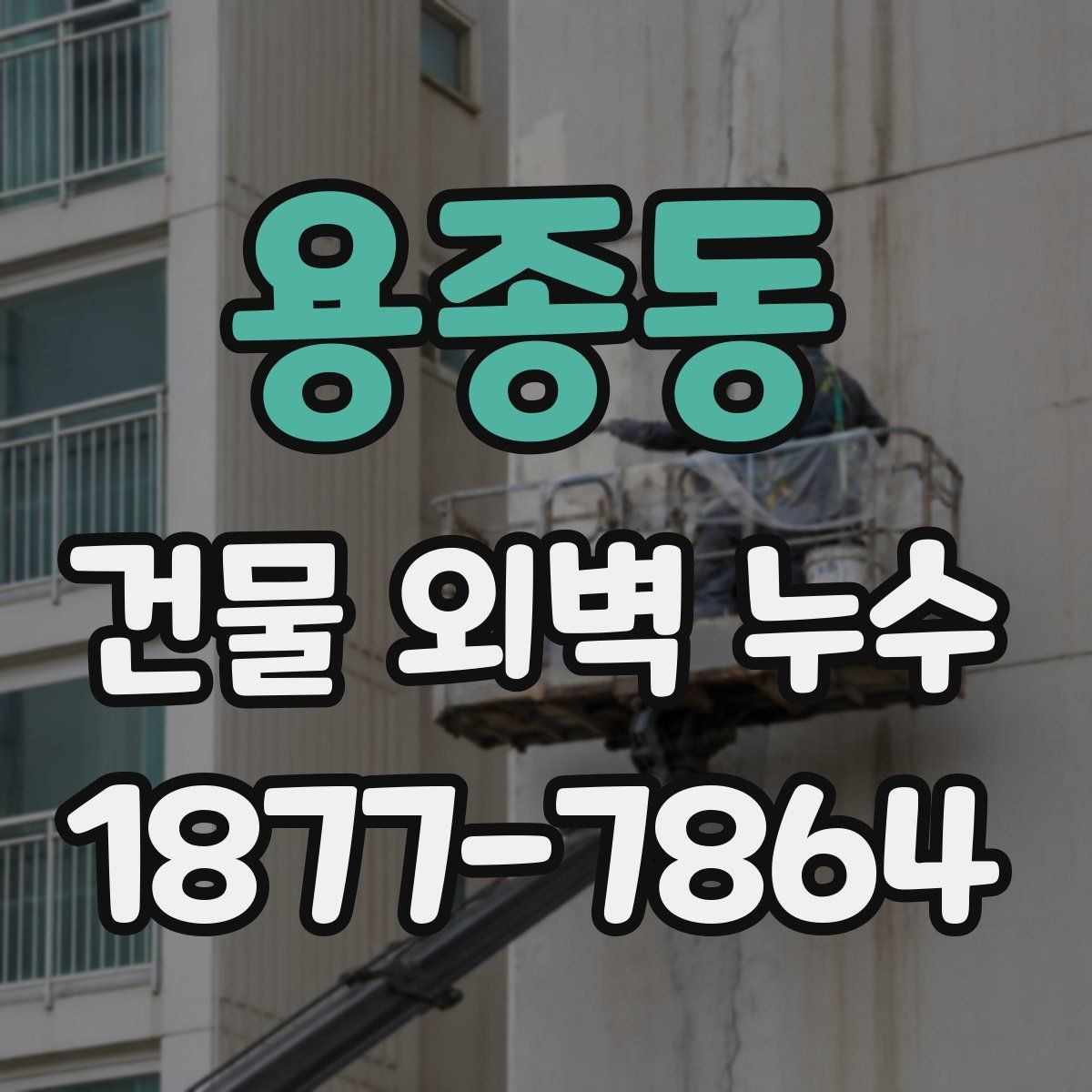 용종동 건물 외벽 누수 보수 전 견적 비교 기준