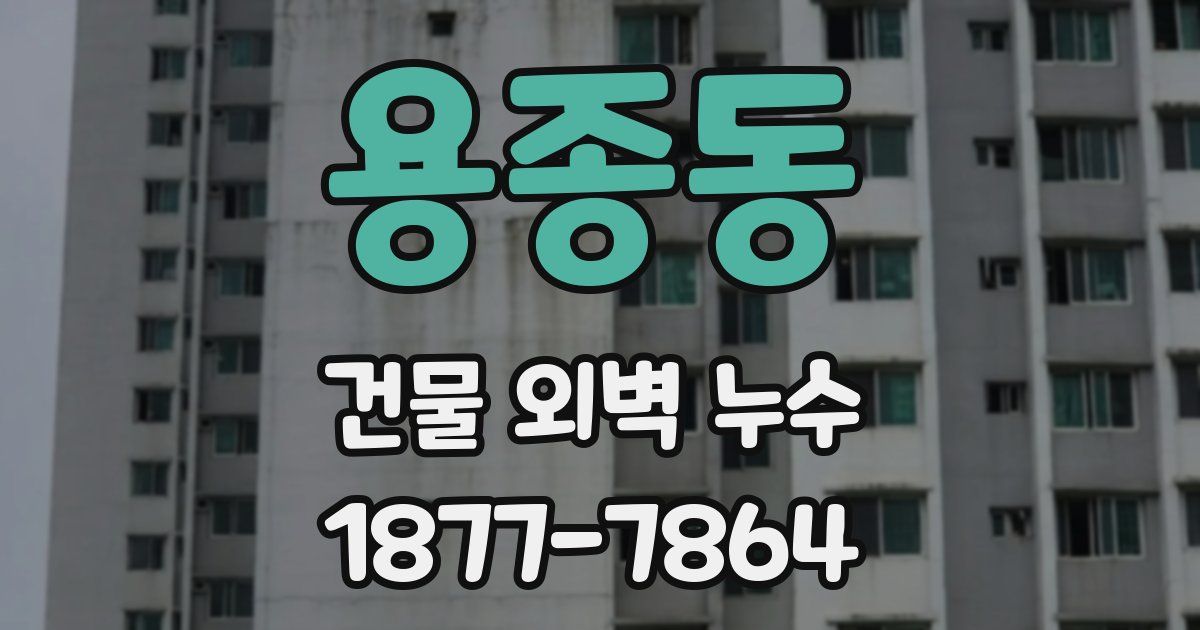 용종동 건물 외벽 누수