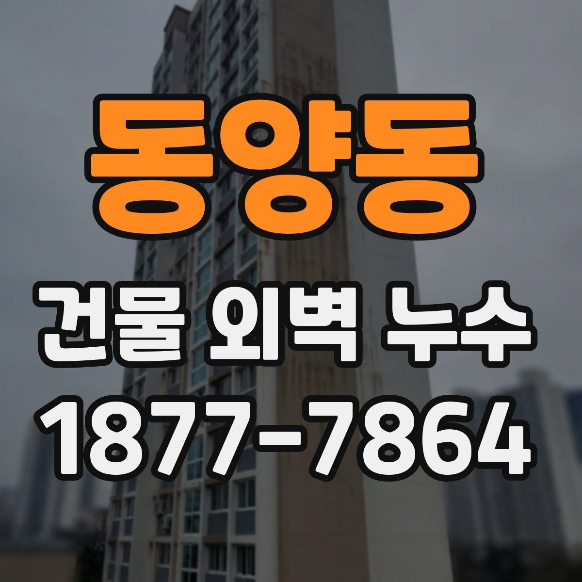 동양동 건물 외벽 누수