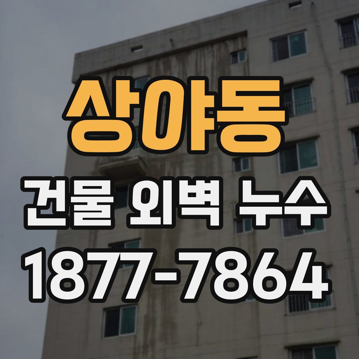 상야동 건물 외벽 누수