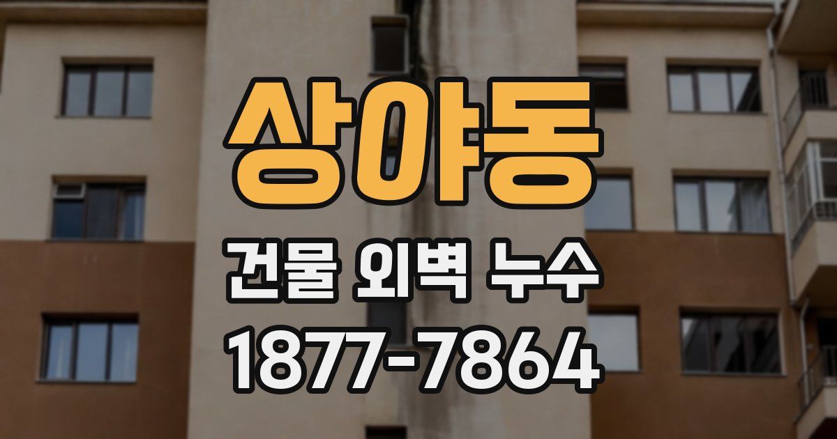 상야동 건물 외벽 누수