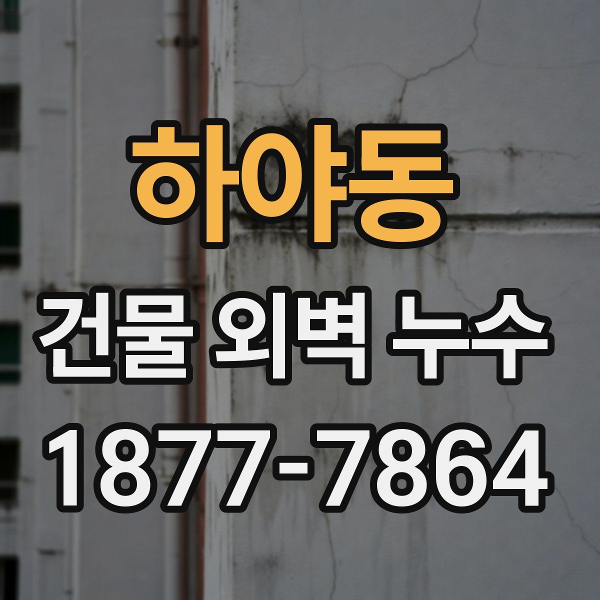 하야동 건물 외벽 누수