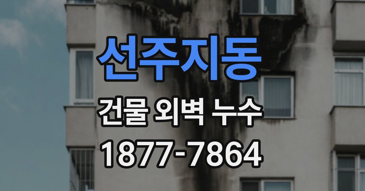 선주지동 건물 외벽 누수