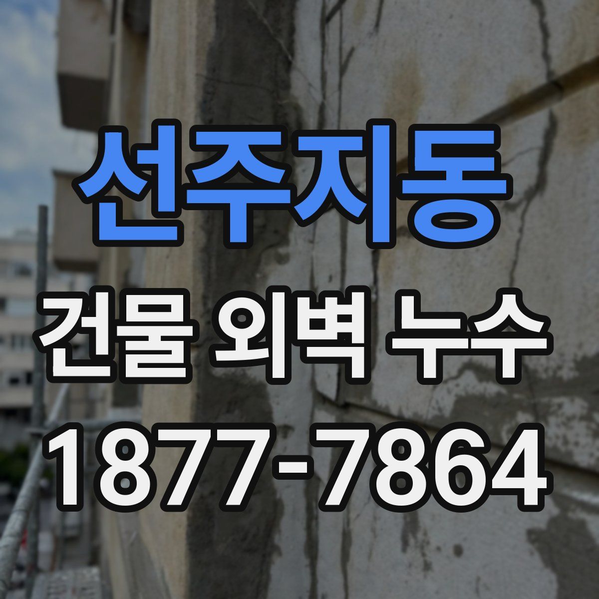 선주지동 건물 외벽 누수