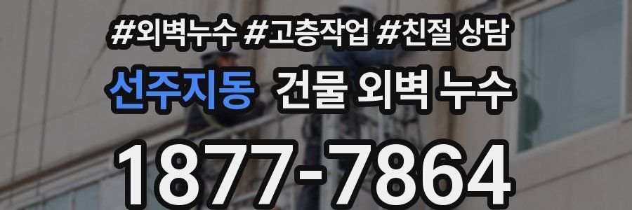 선주지동 건물 외벽 누수