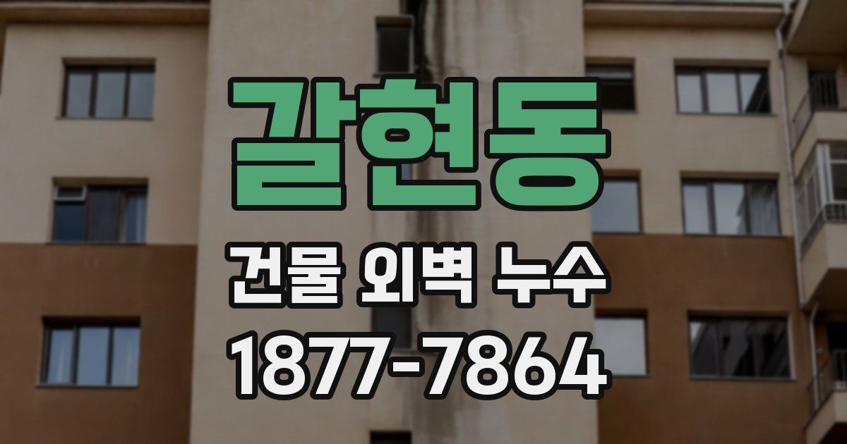 갈현동 건물 외벽 누수