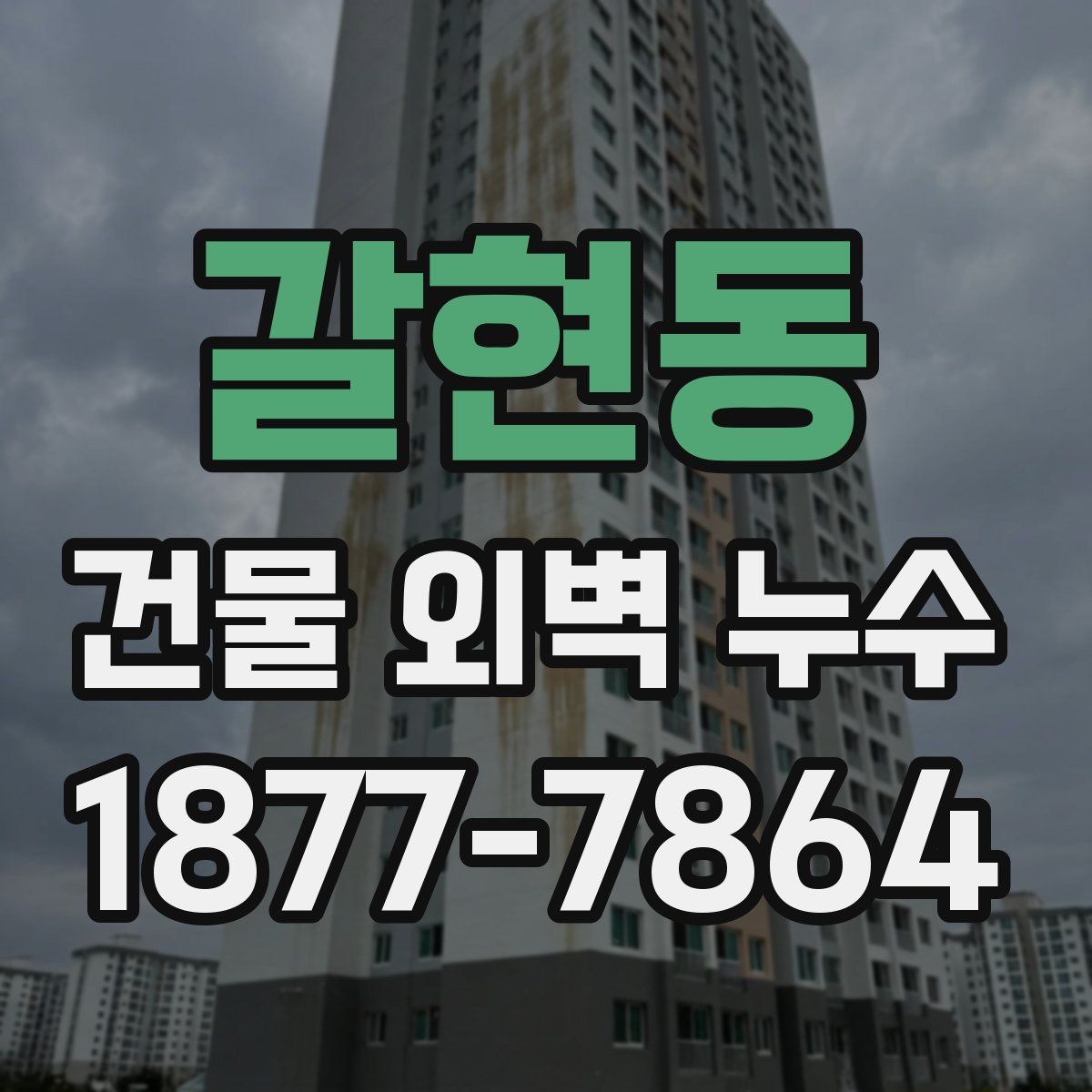 갈현동 건물 외벽 누수