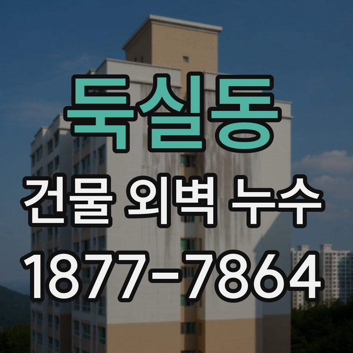 둑실동 건물 외벽 누수