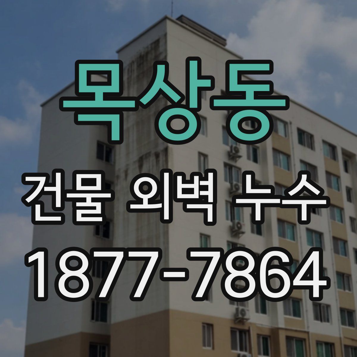 목상동 건물 외벽 누수