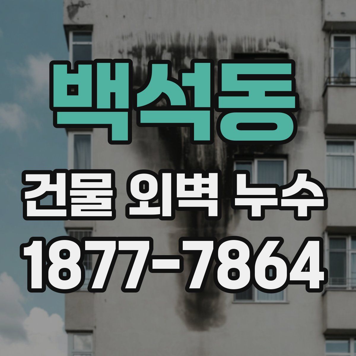 백석동 건물 외벽 누수