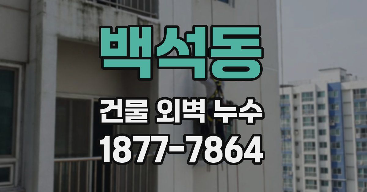 백석동 건물 외벽 누수