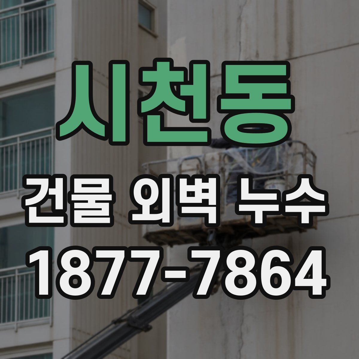 시천동 건물 외벽 누수