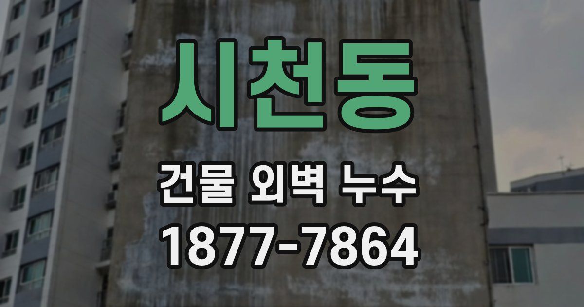 시천동 건물 외벽 누수