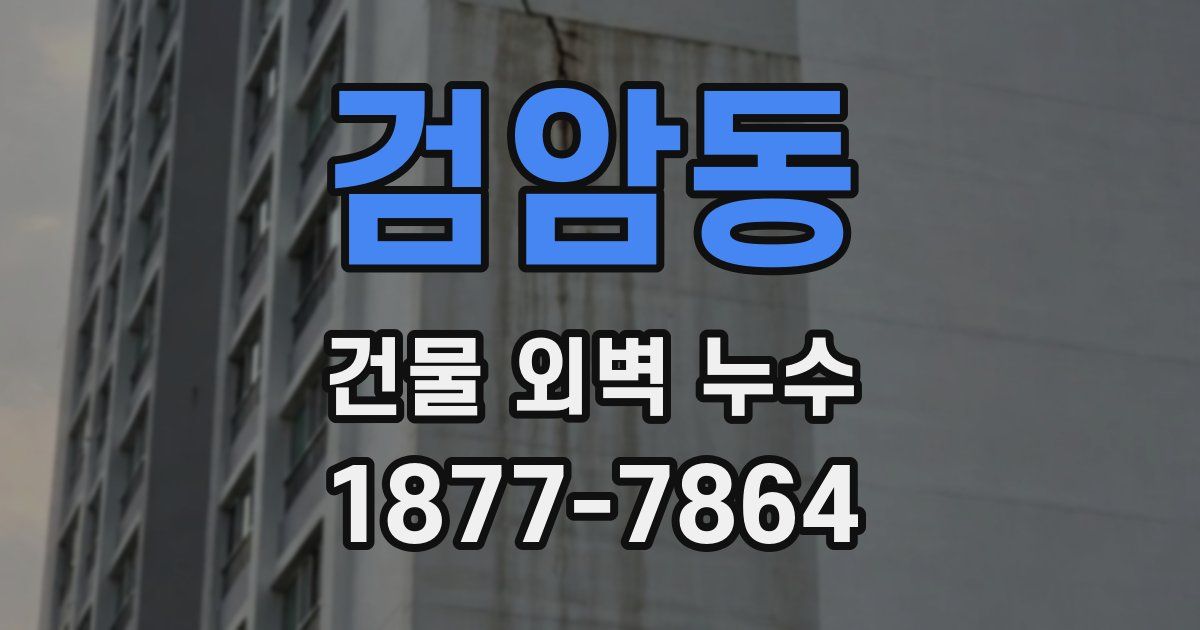 검암동 건물 외벽 누수