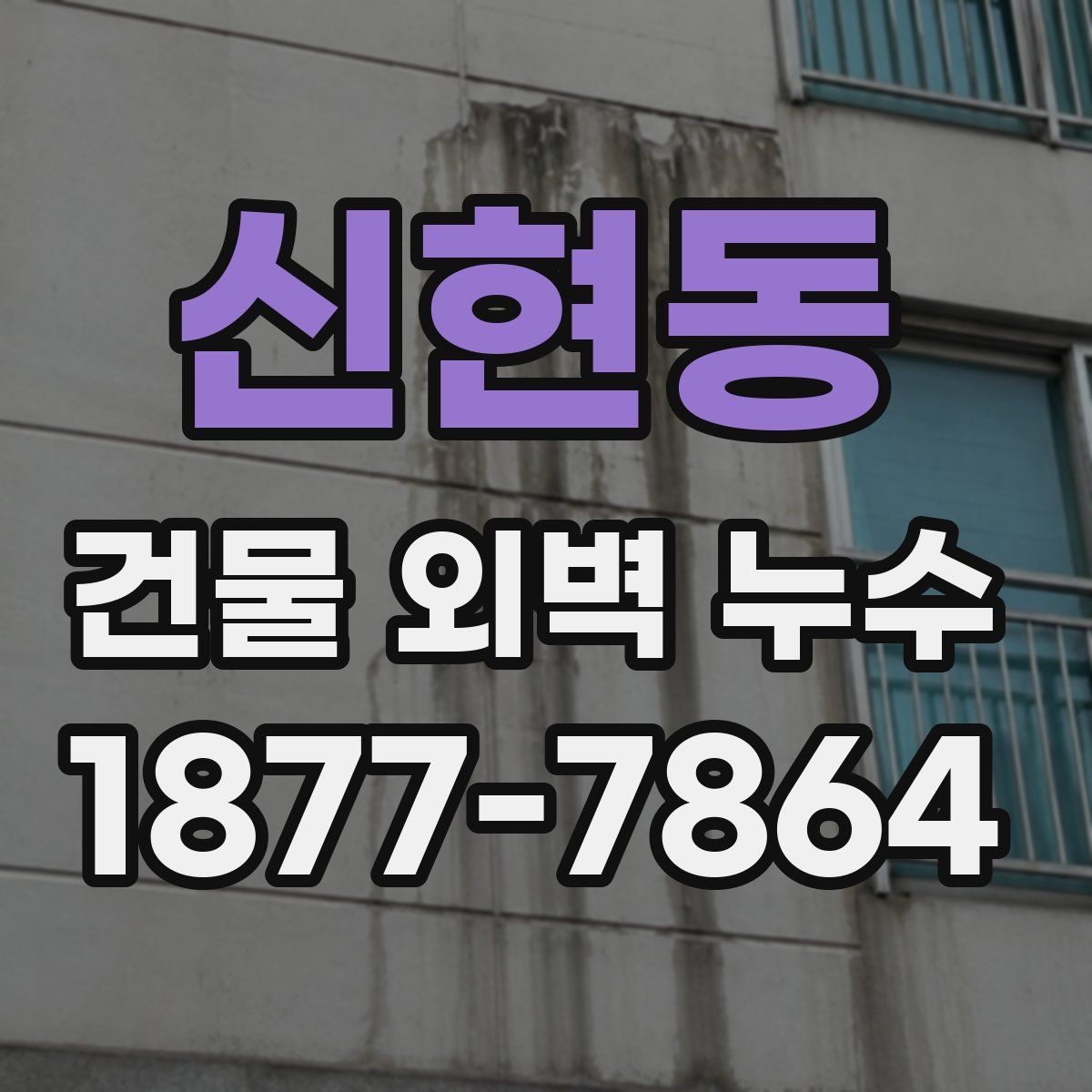 신현동 건물 외벽 누수