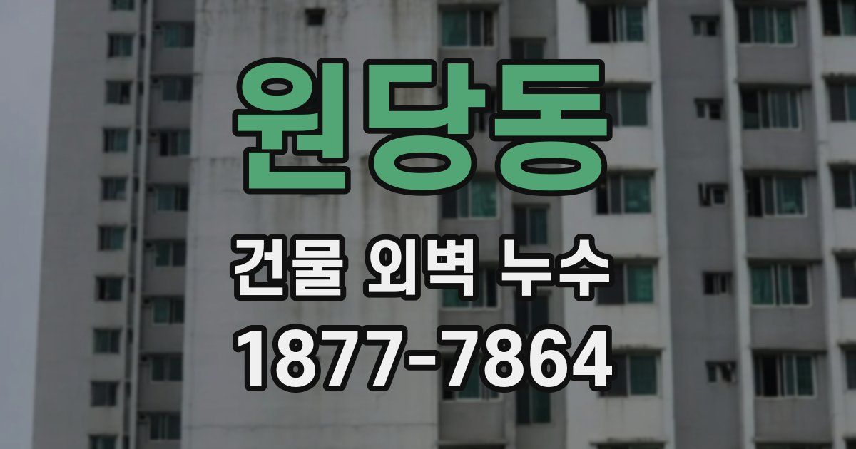 원당동 건물 외벽 누수