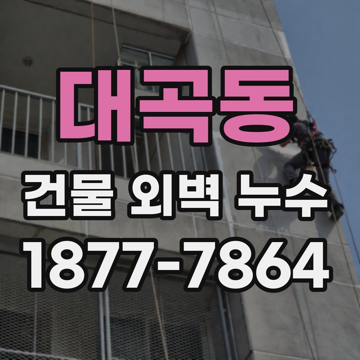 대곡동 건물 외벽 누수