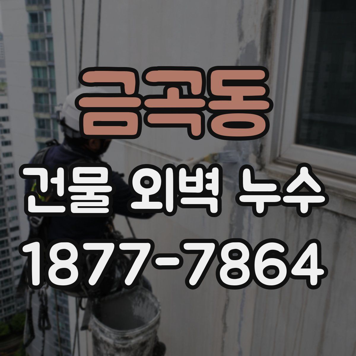금곡동 건물 외벽 누수