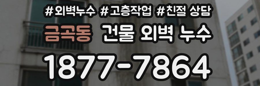 금곡동 건물 외벽 누수