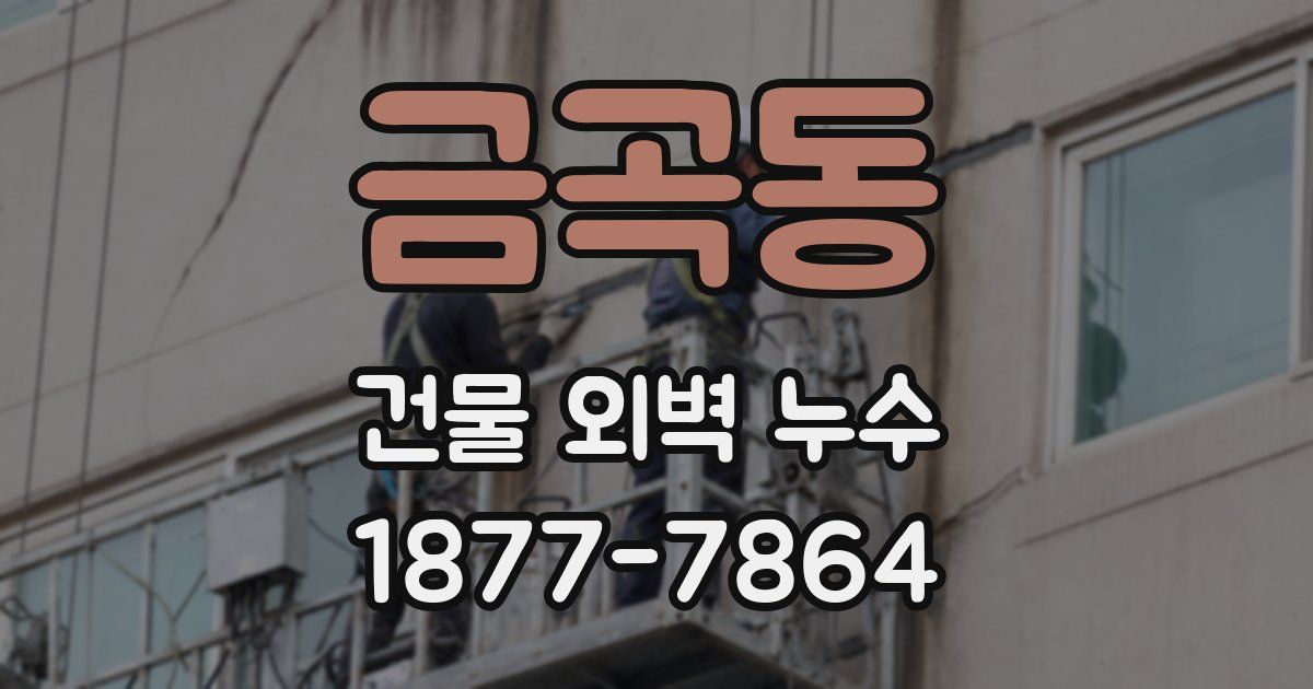 금곡동 건물 외벽 누수