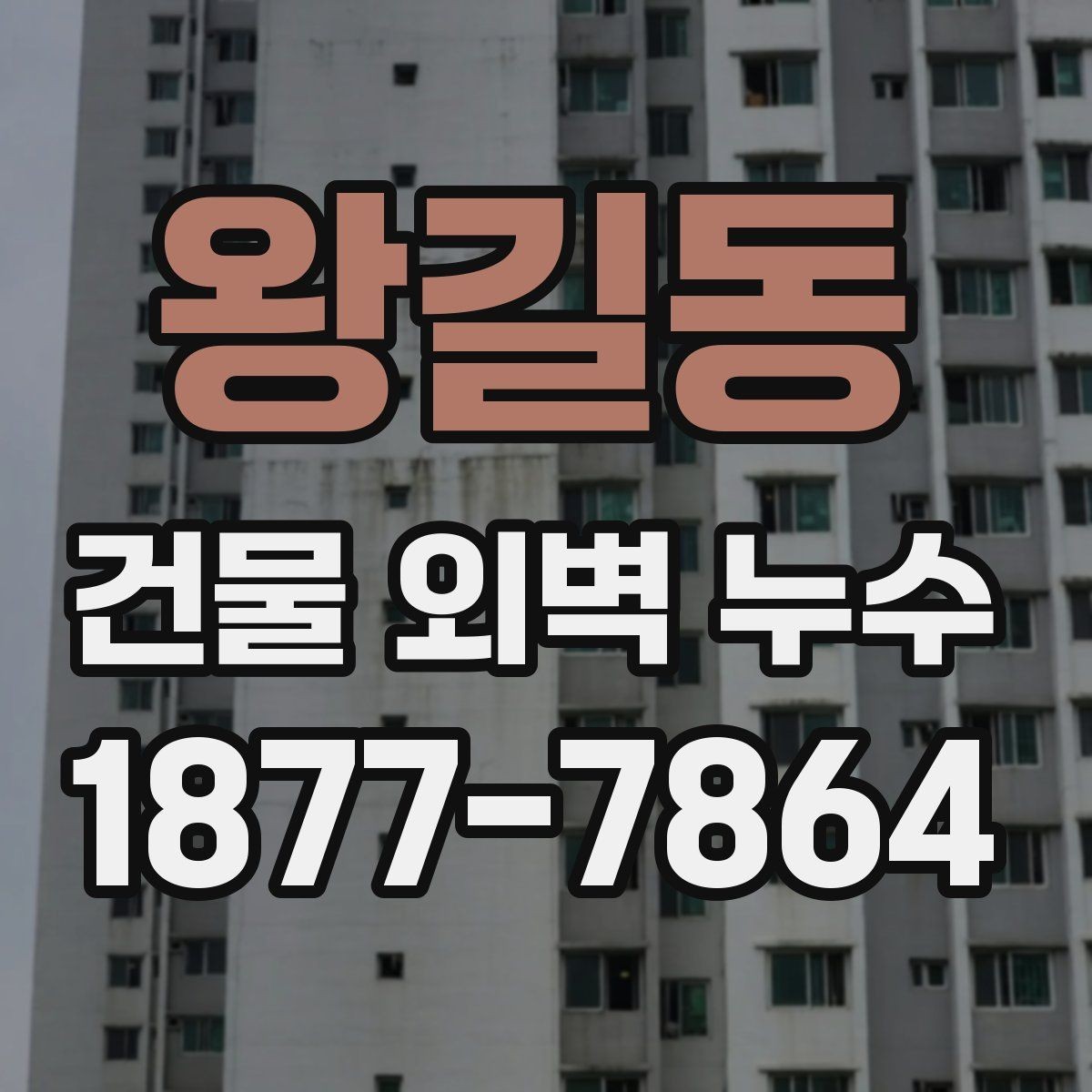 왕길동 건물 외벽 누수 해결을 위한 단계별 접근