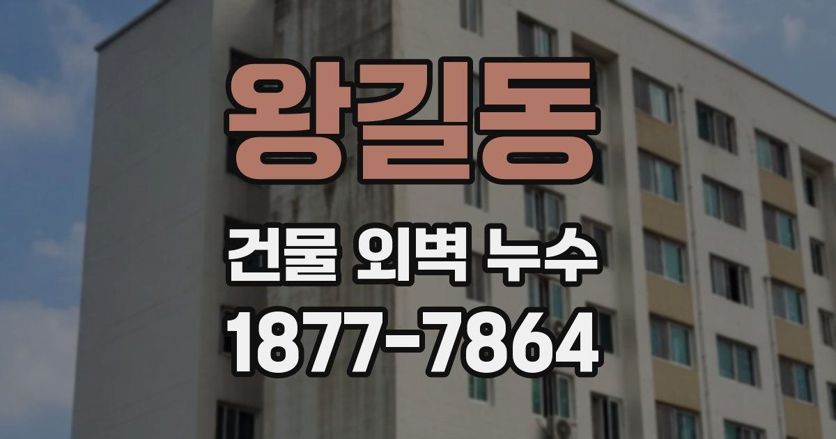 왕길동 건물 외벽 누수