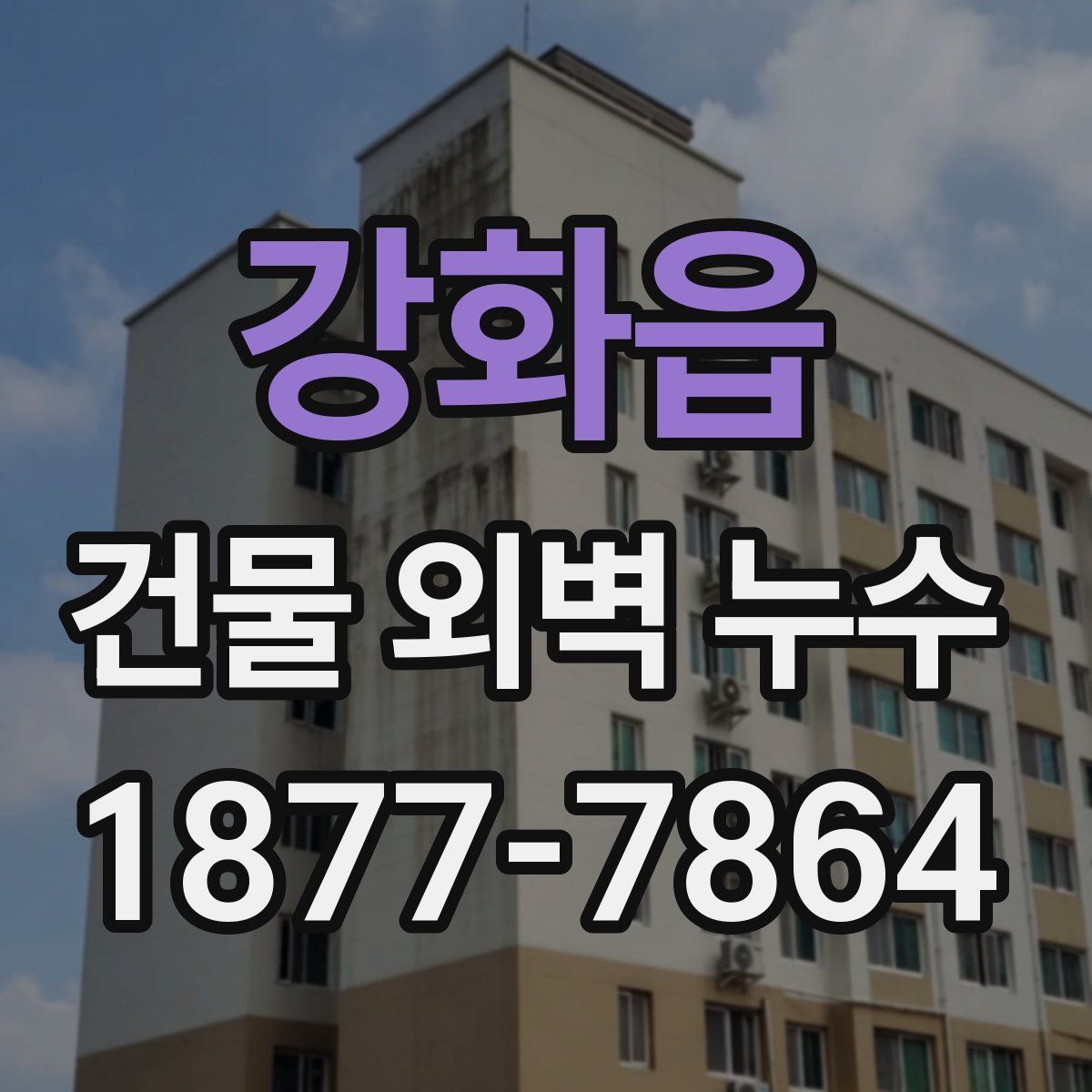 강화읍 건물 외벽 누수