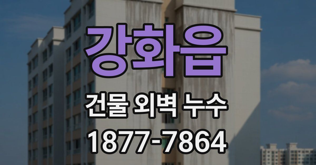 강화읍 건물 외벽 누수
