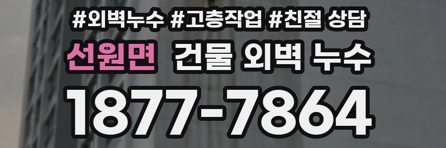 선원면 건물 외벽 누수