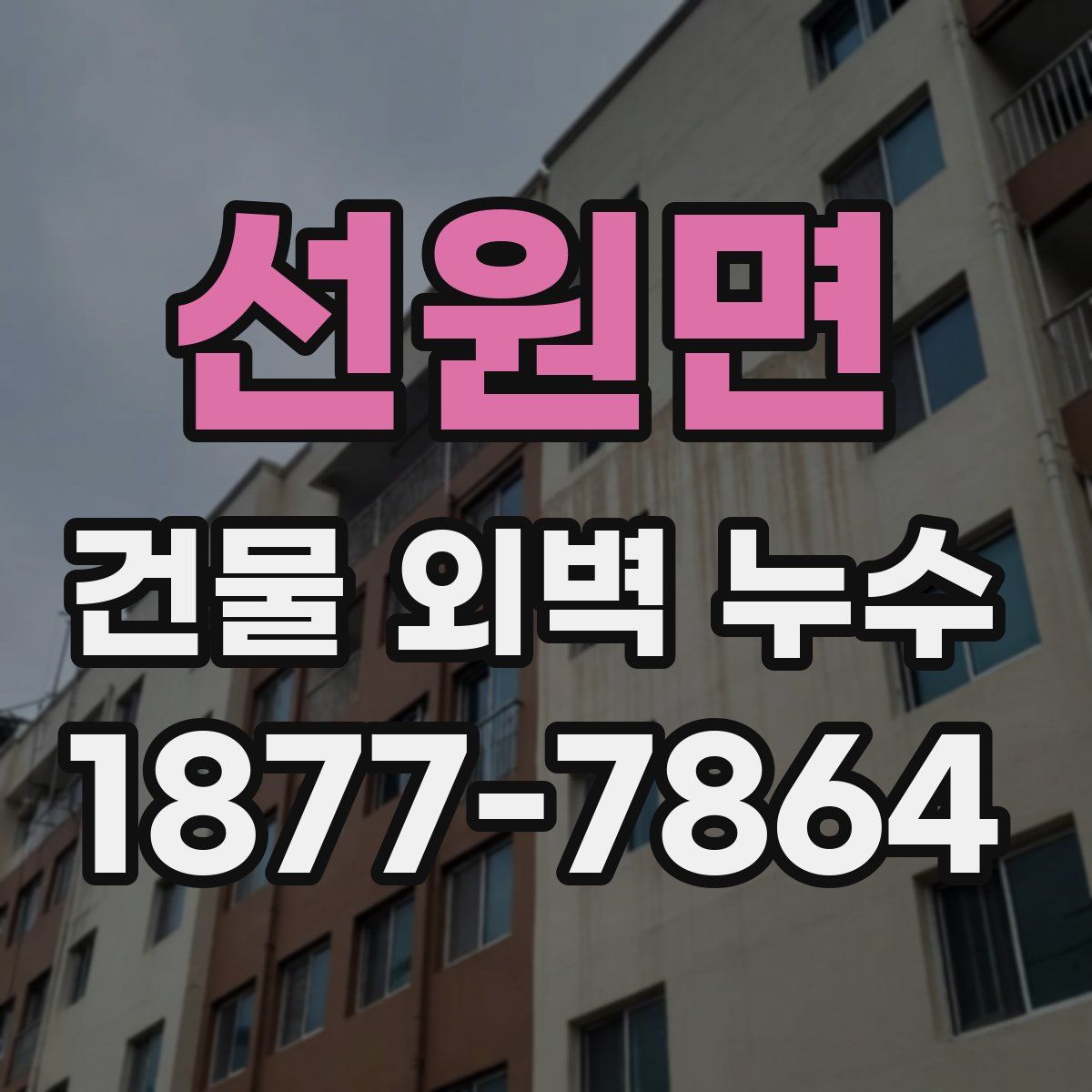 선원면 건물 외벽 누수