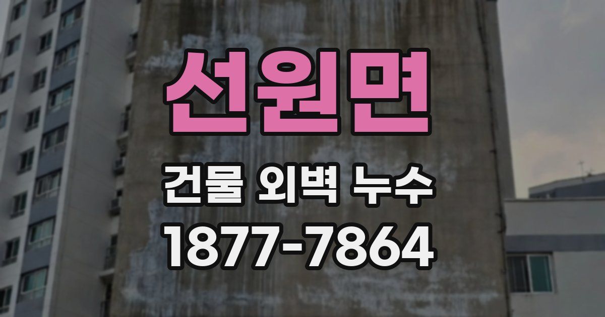 선원면 건물 외벽 누수