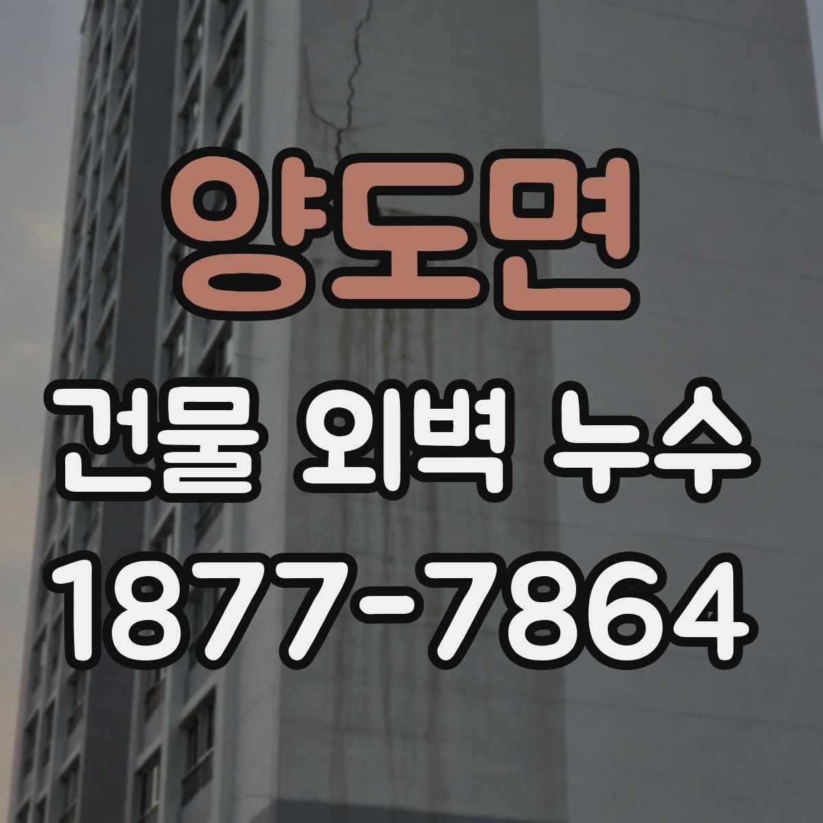양도면 건물 외벽 누수