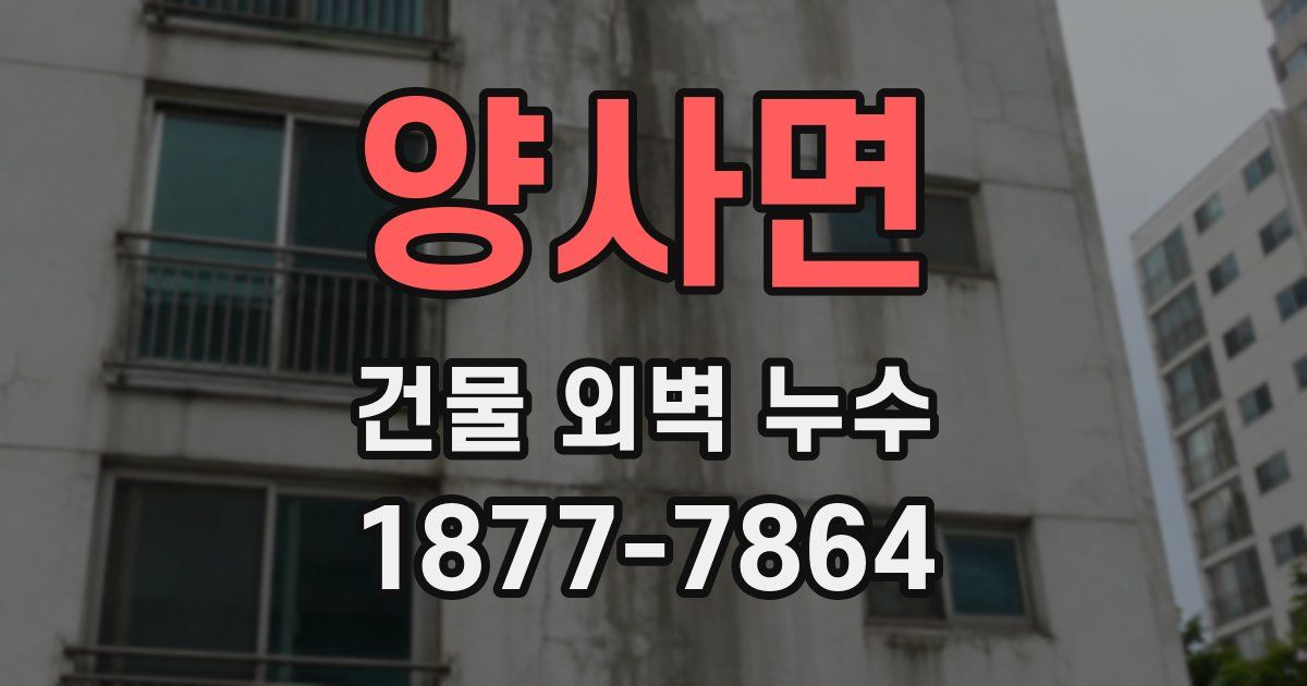 양사면 건물 외벽 누수