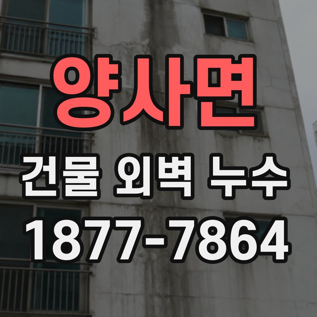양사면 건물 외벽 누수